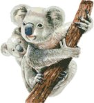 (image for) Watercolor Koala Mum and Joey